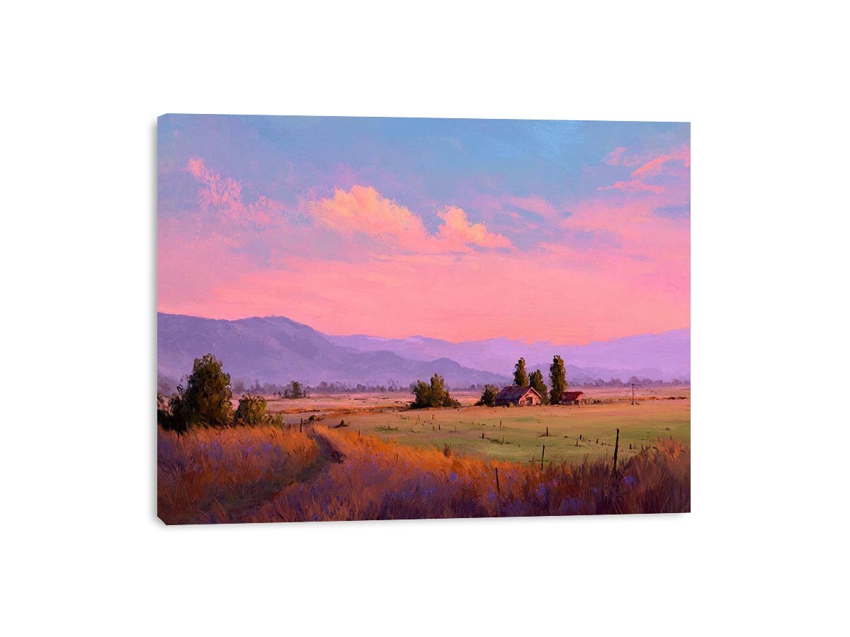 Framed Print