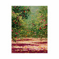 Apple orchard in spring
