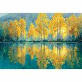 Golden Forest Reflections
