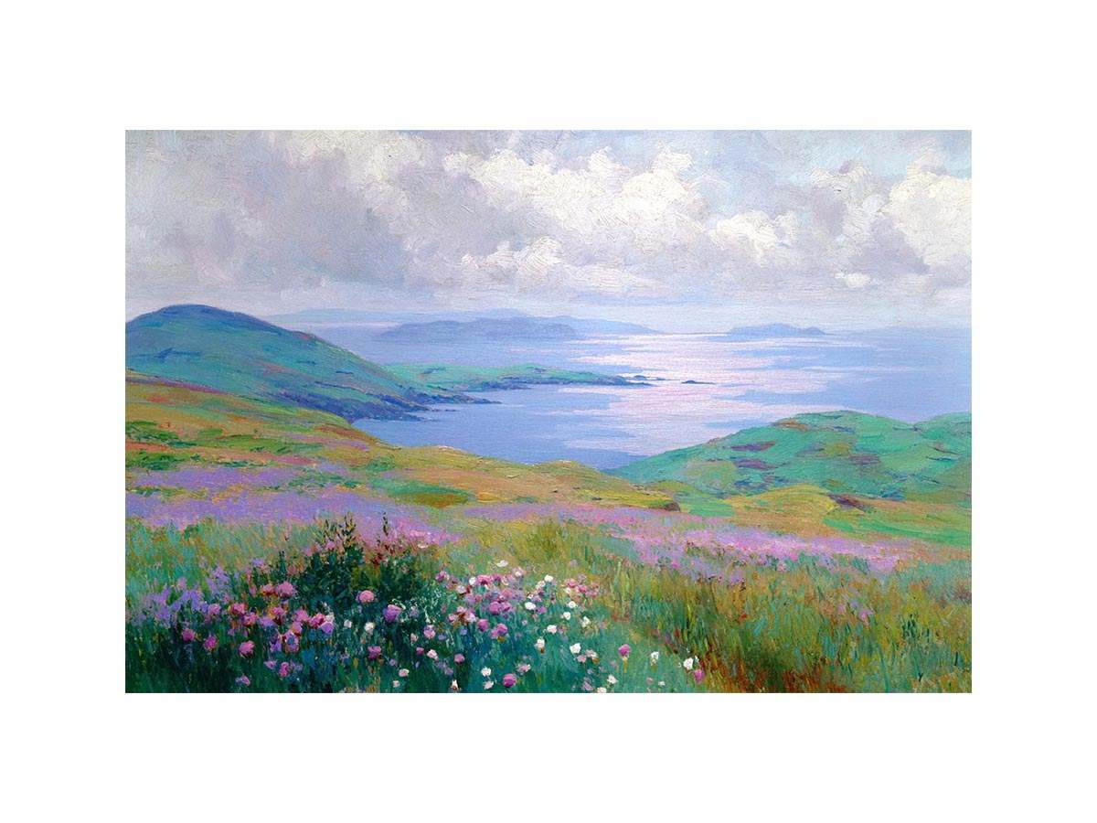 Irish landscape