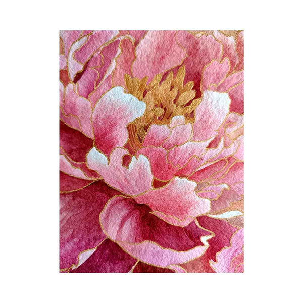 Peony Flower coloseup