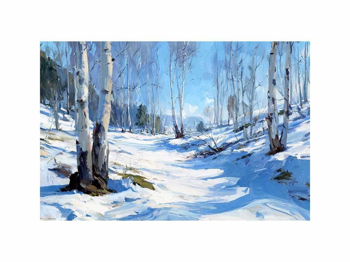 Spring forest in winter