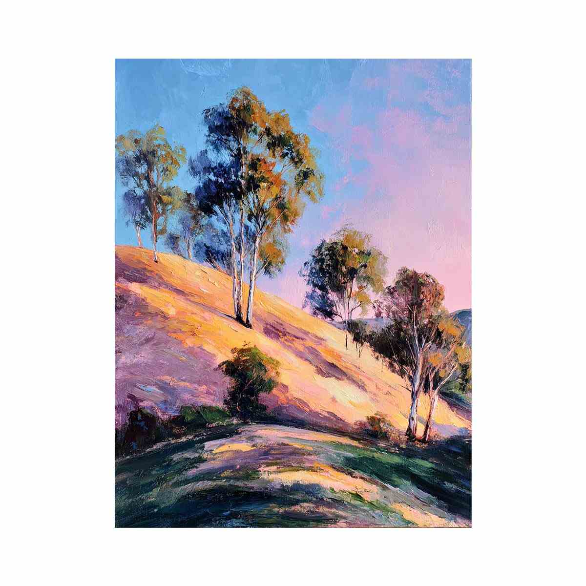 Eucalyptus Trees