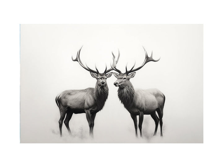 Stags