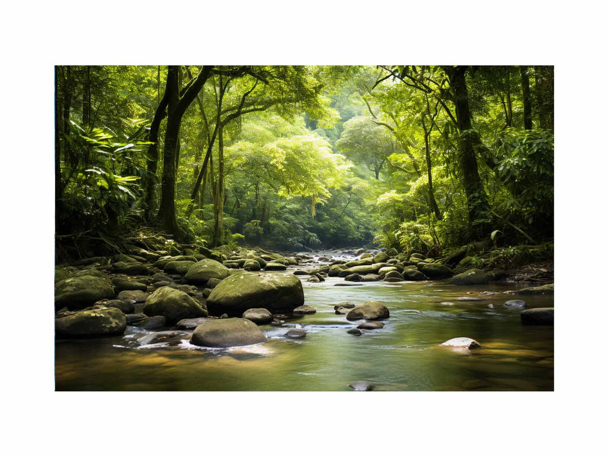 rainforest-river-landscape-canvas-wall-art-sunm-113