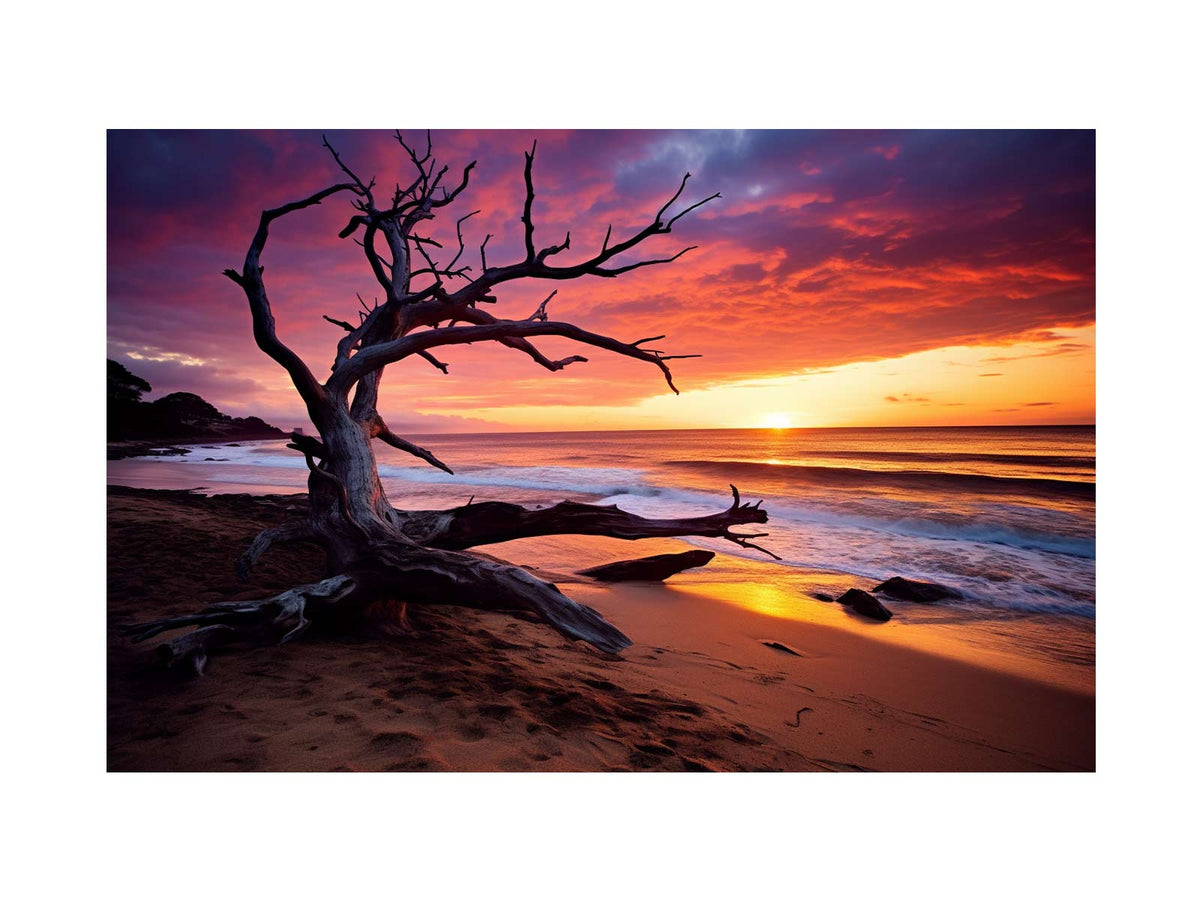 driftwood-beach-sunset-canvas-art-sunm-186