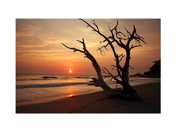 Botany Bay Australia Sunset  