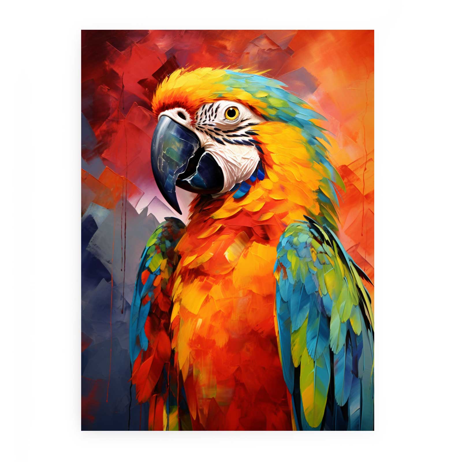 Colorful Parrot  