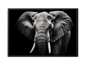 black-white-elephant-portrait-canvas-sunm223.png