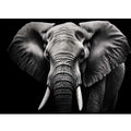 black-white-elephant-portrait-canvas-sunm223.png