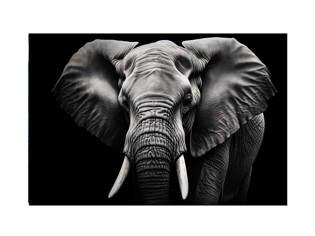 black-white-elephant-portrait-canvas-sunm223.png