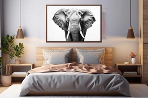 Elephant White And Black  