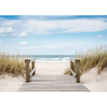 Seaside Pathway Breeze
