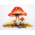 Mushroom 