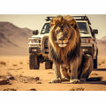 Big Lion In Desert 