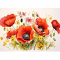 Poppy Flowers 