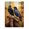 Ravens 