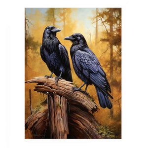 Ravens 