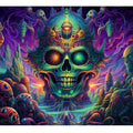 DMT 