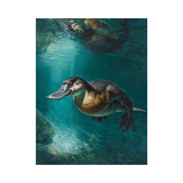 Platypus