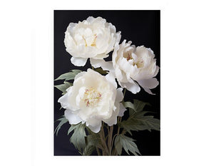 White Coral Peony Flower 