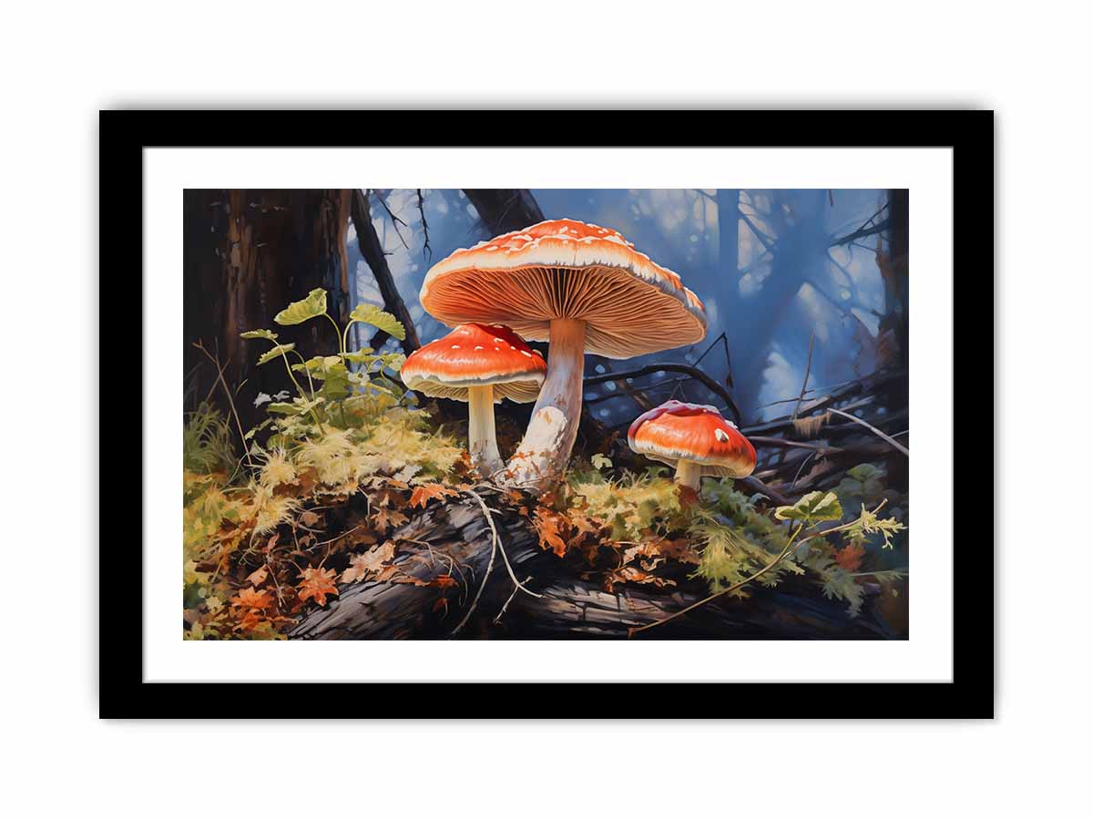Framed Print