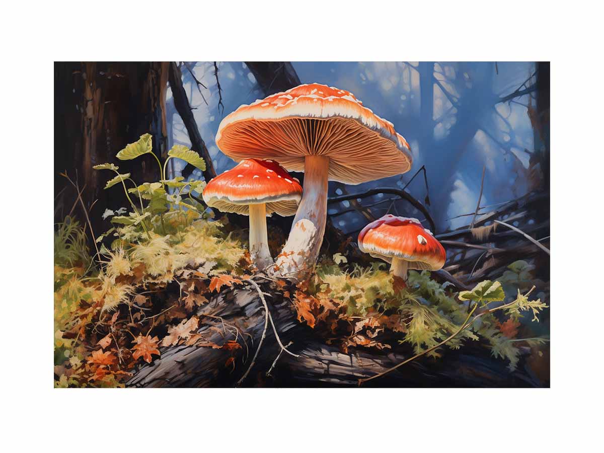 Mushroom Kingdom