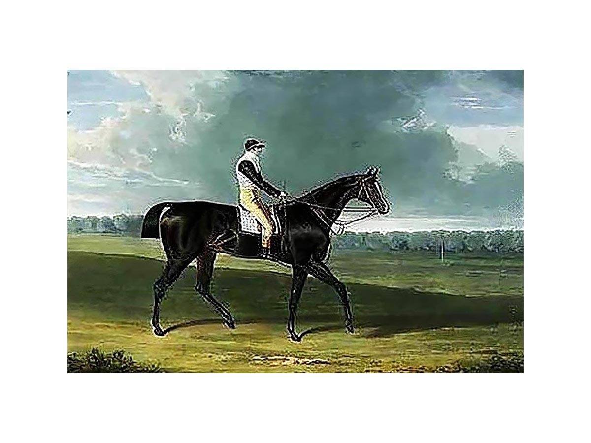 Filho da Puta', the Winner of the Great St. Leger at Doncaster by John Frederick Herring Snr
