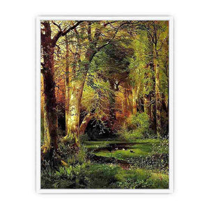 Forest Scene Framed Print