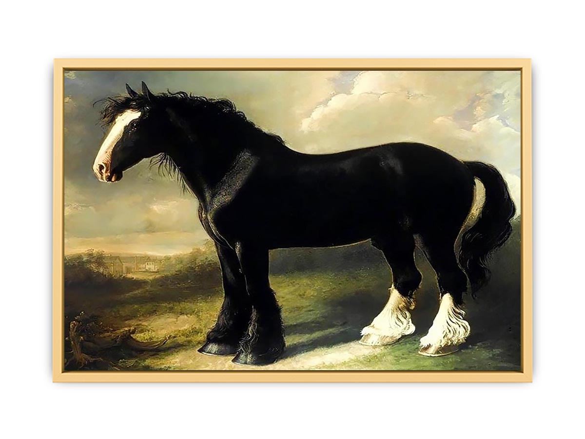 Old English Black Horse Streched canvas