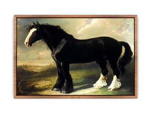 Old English Black Horse  Poster