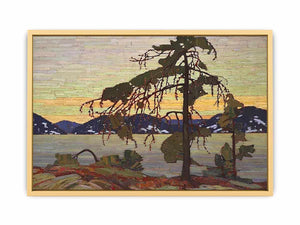 The Jack Pine Streched canvas