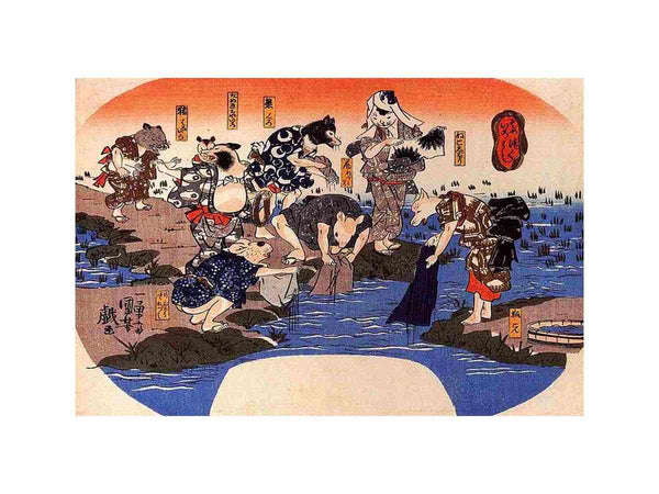 Animals dyeing fabrics