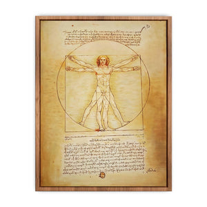 Vitruvian Man by Leonardo Da Vinci  Poster