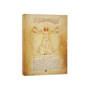 Vitruvian Man by Leonardo Da Vinci  Painting