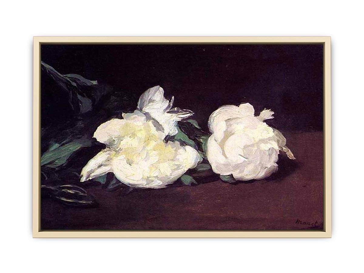 Branch of White Peonies and Secateurs  Art Print