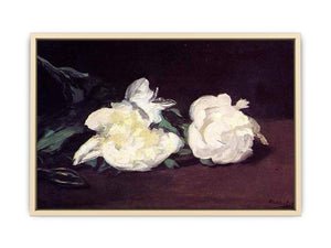 Branch of White Peonies and Secateurs  Art Print