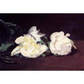 Branch of White Peonies and Secateurs by Edouard Manet
