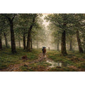 Rain in Oak Forest By Ivan Shishkin