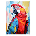 Tropical Parrot