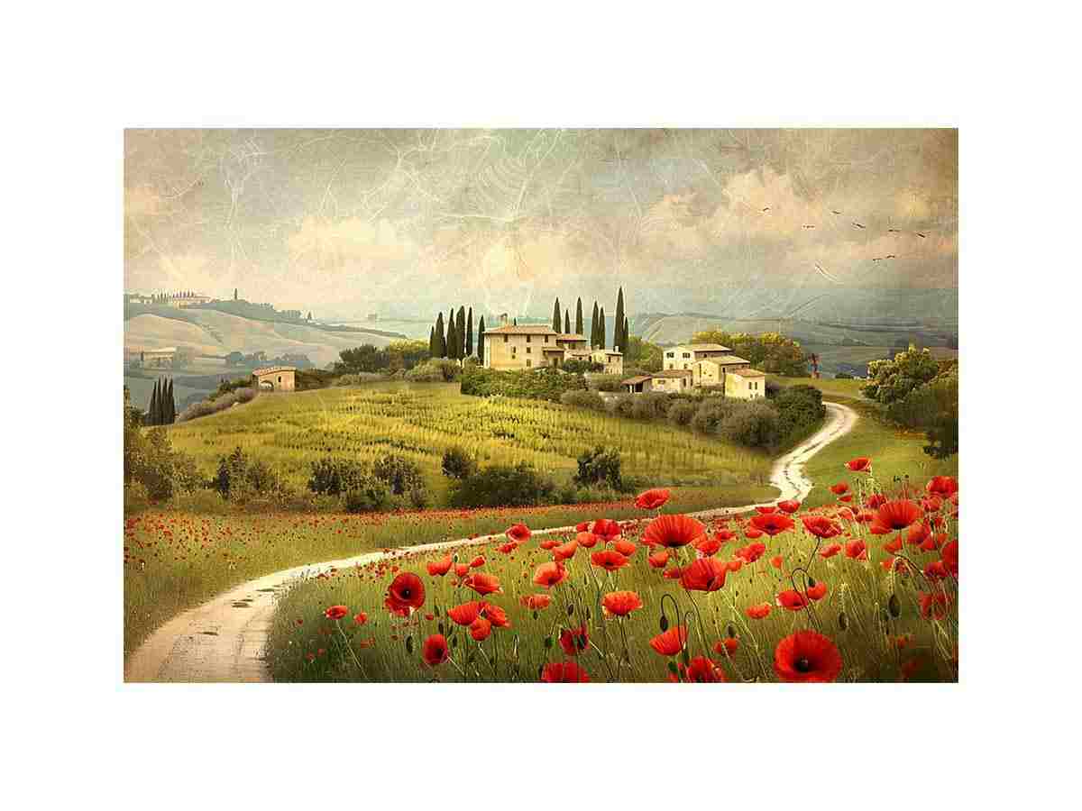 Red Poppies House