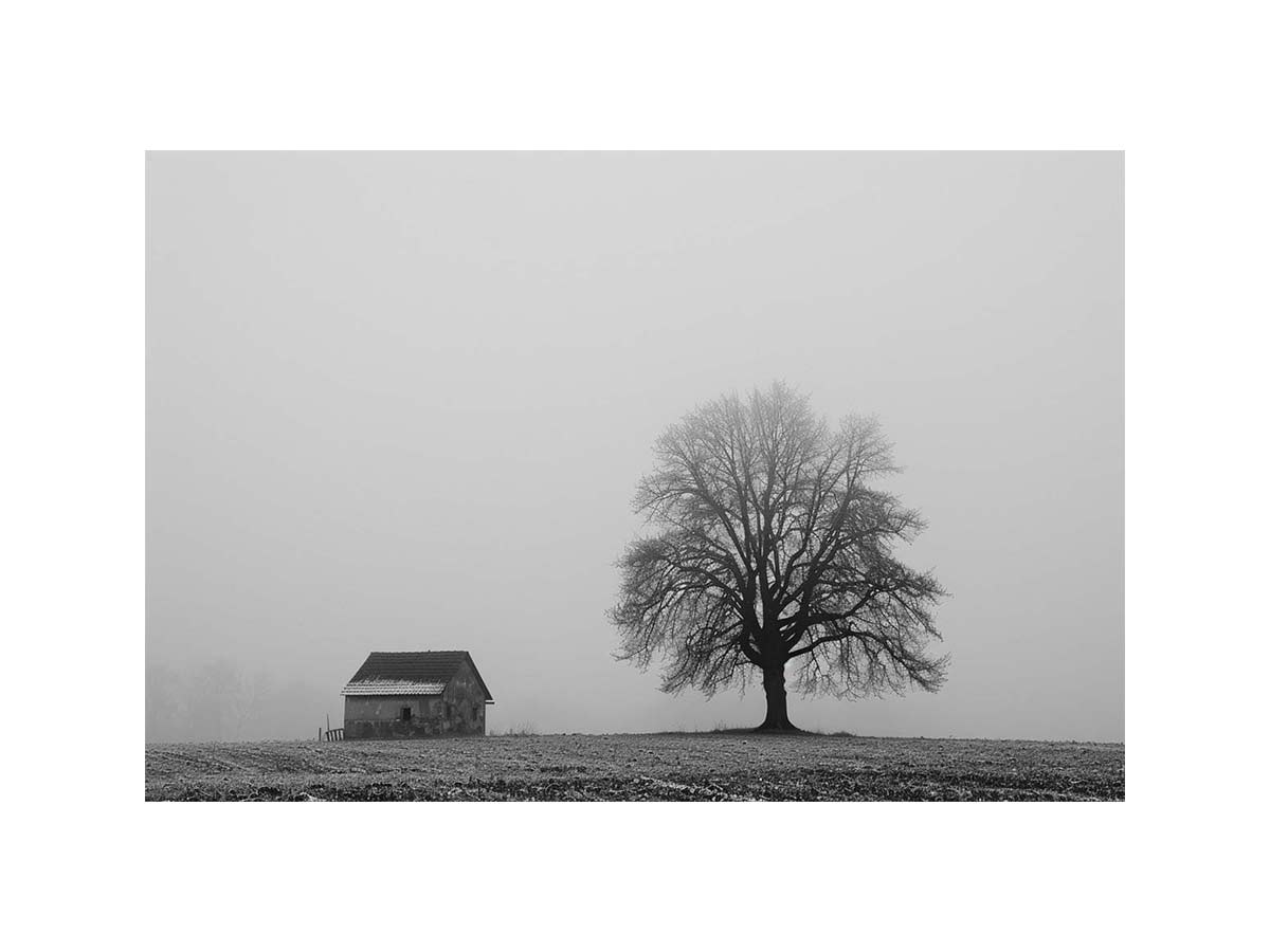 Silent Hearth