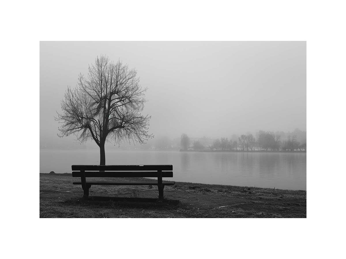 Quiet Refuge