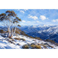 Snowy Mountains Australia Canvas Print Wall Art