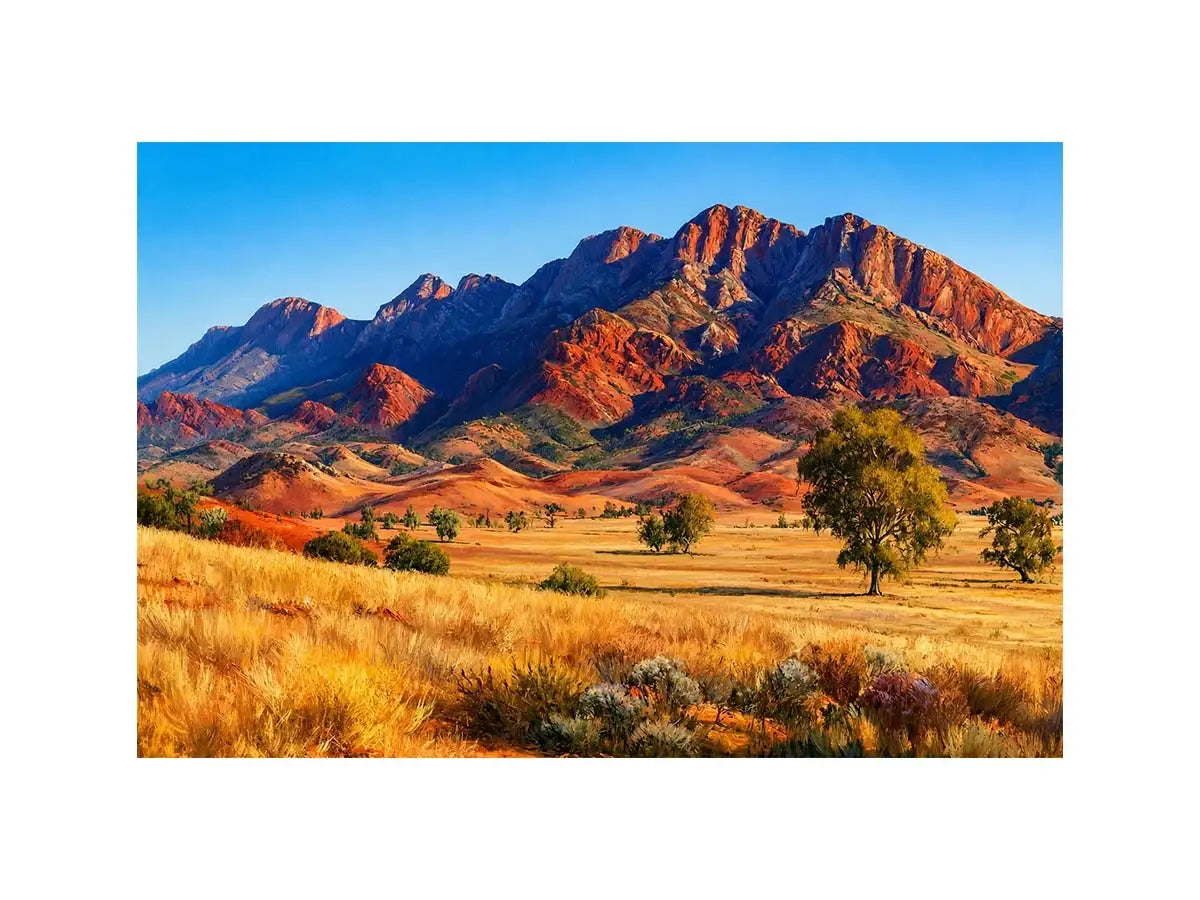 Flinders Mountain Ranges Australia Canvas Print Wall Art