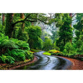 Dandenong Ranges Australia Canvas Print Wall Art