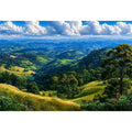 Bunya Mountains Landscape Canvas Print