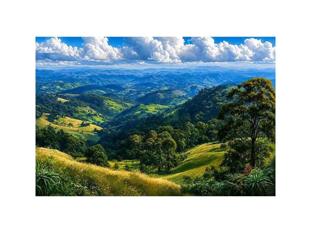 Bunya Mountains Landscape Canvas Print