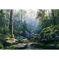 Barrington Tops Landscape Canvas Print