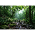Lamington National Park Landscape Canvas Print